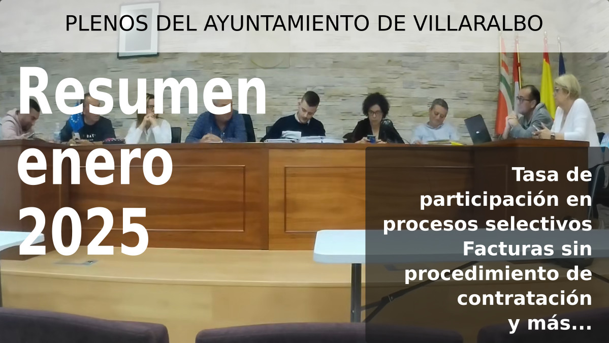 Video resumen del pleno ordinario de enero de 2025