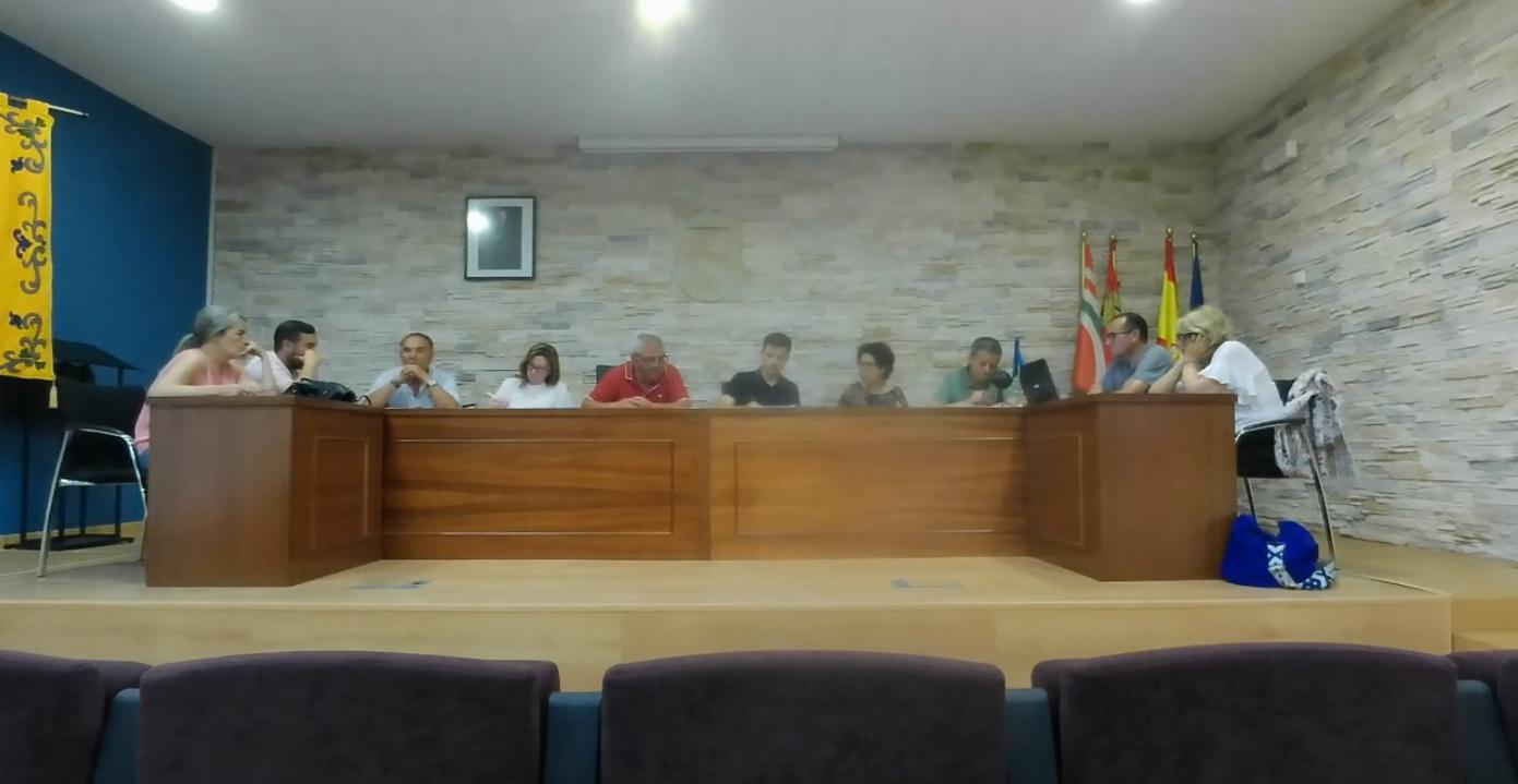 Pleno de junio de 2024